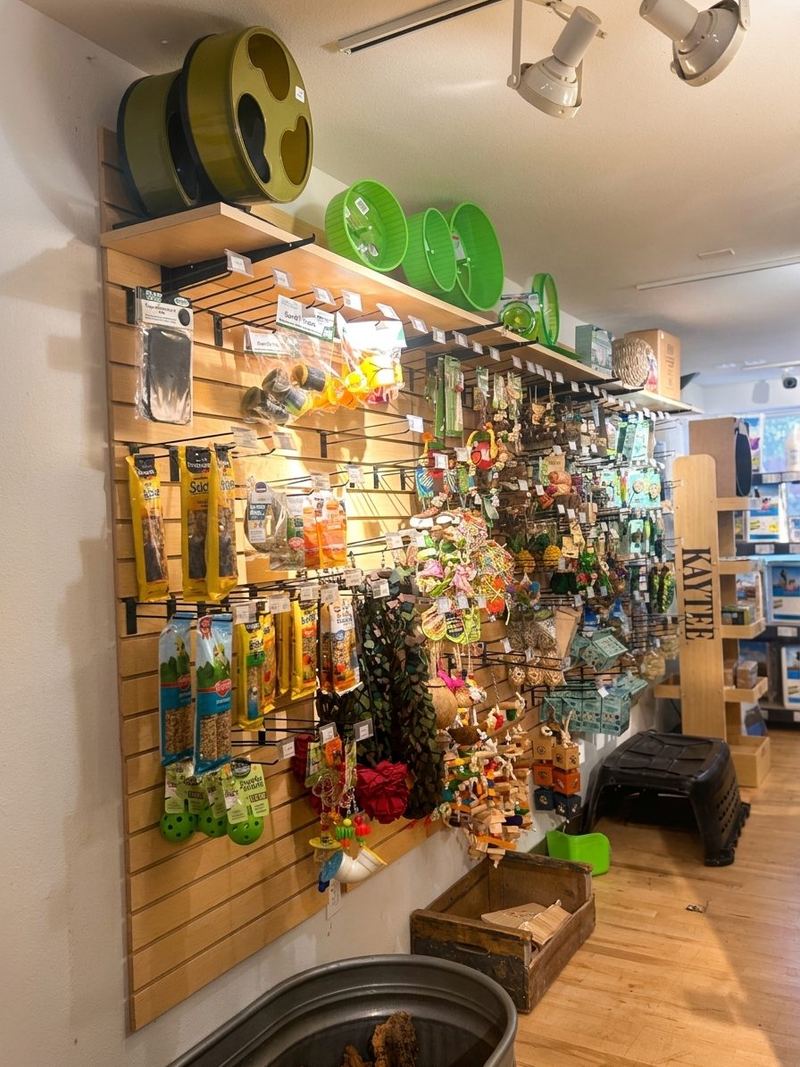 A slatwall of bird and small-animal toys, treats and wheels