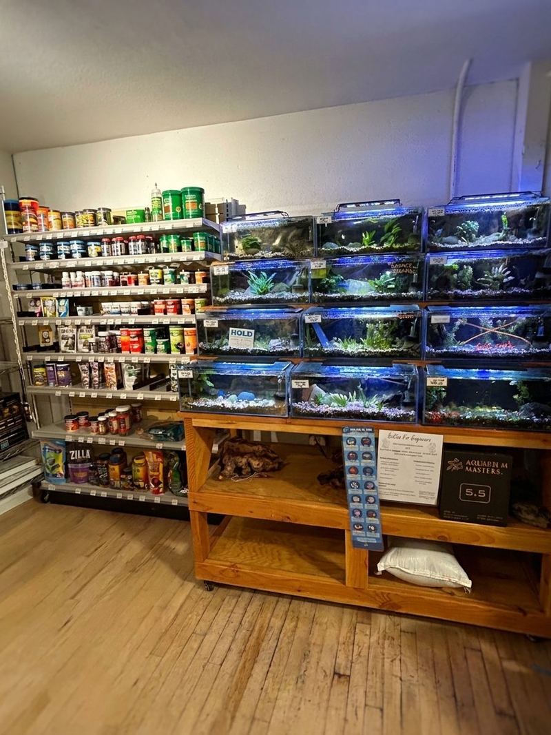 Stacked fish tanks next to shelves of fish food and supplies