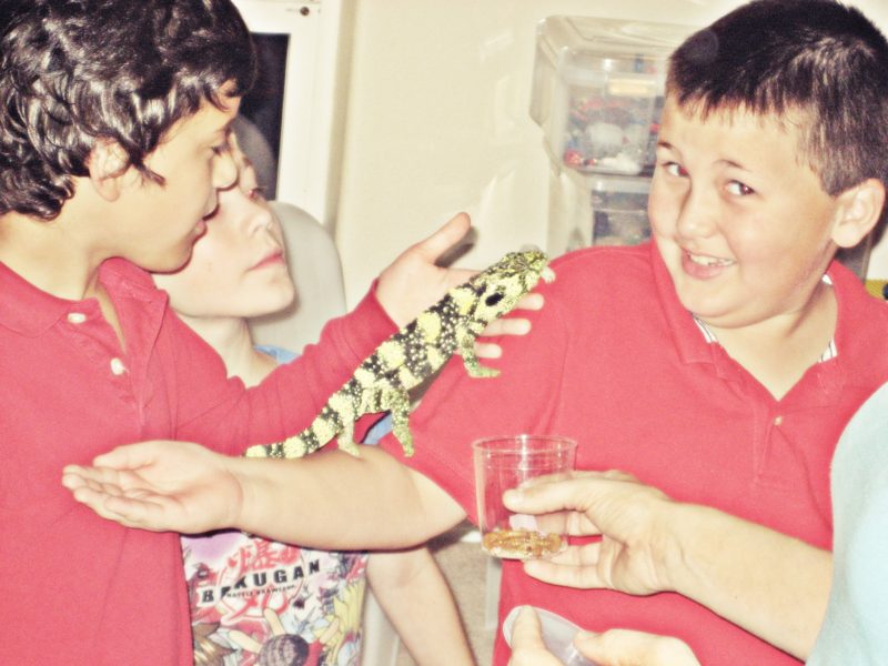Kids at a Critter Cabana birthday party holding a lizard